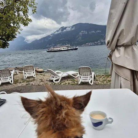 Hotel Piccolo Direkt Am Brenzone sul Garda