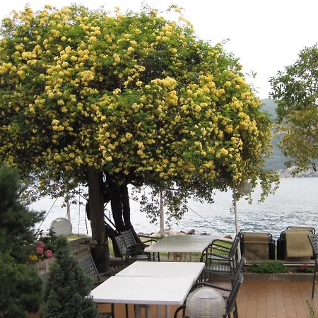 Piccolo Direkt Am 2*