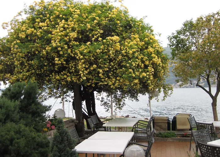 Piccolo Direkt Am 2*