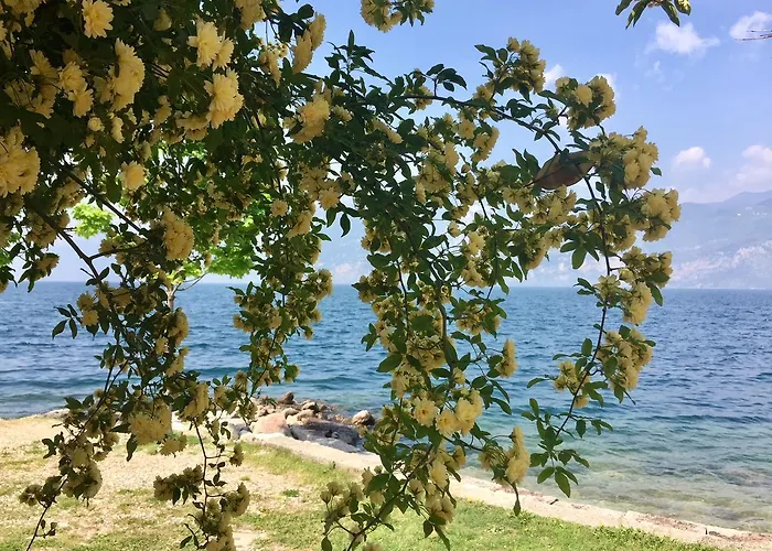 Piccolo Direkt Am Hotel 2*